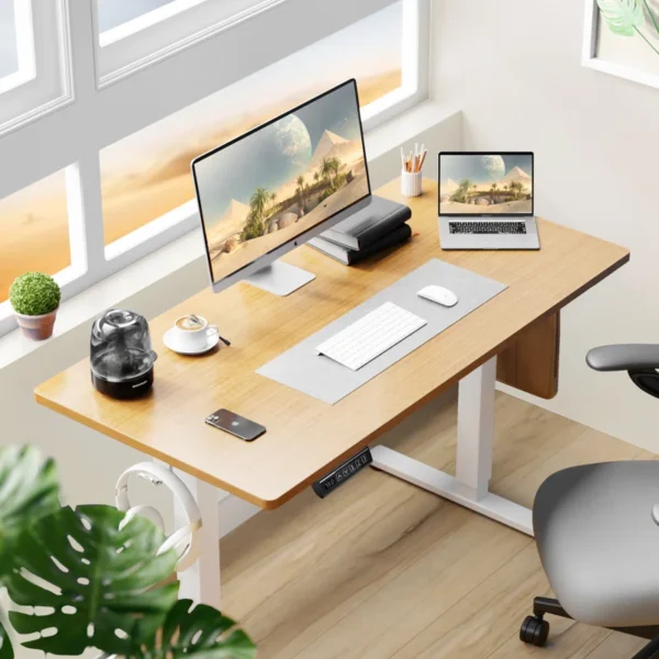 Koree Standing & Height-Adjustable Desk